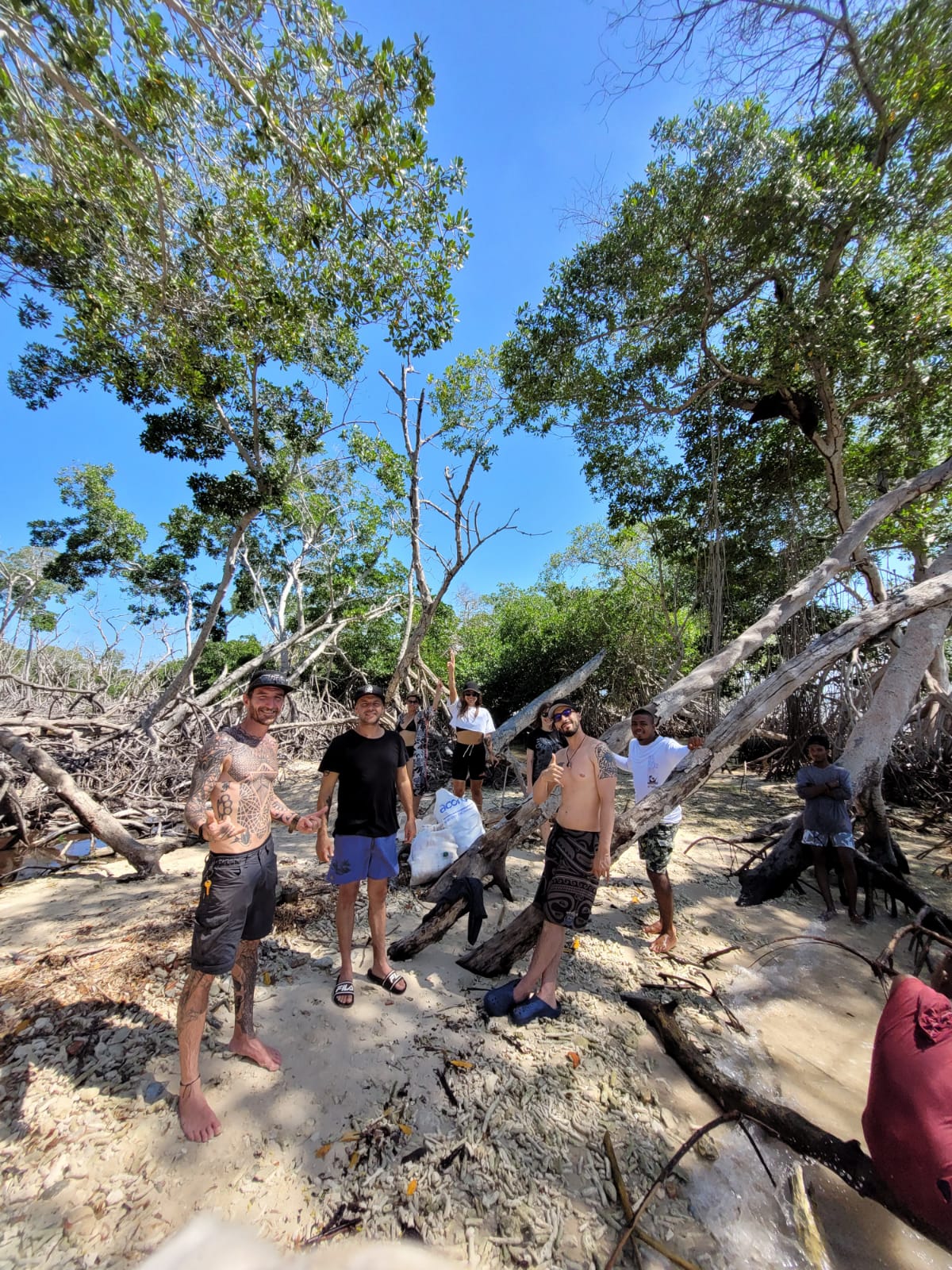 Mangrove Reforestation Tour