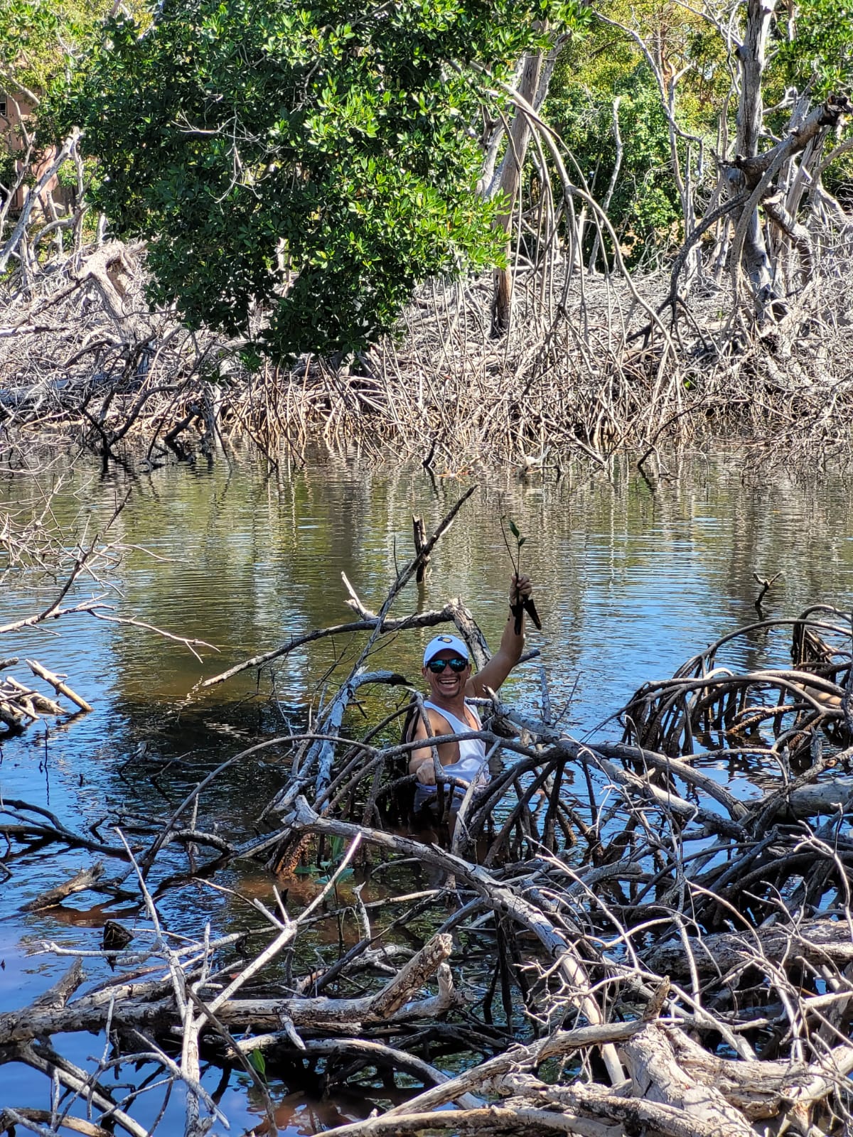 Mangrove Reforestation Tour
