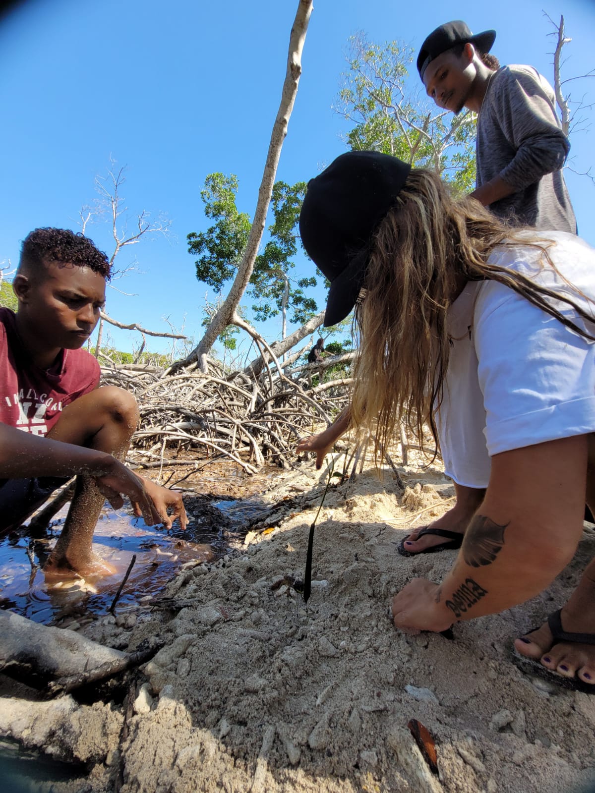 Mangrove Reforestation Tour
