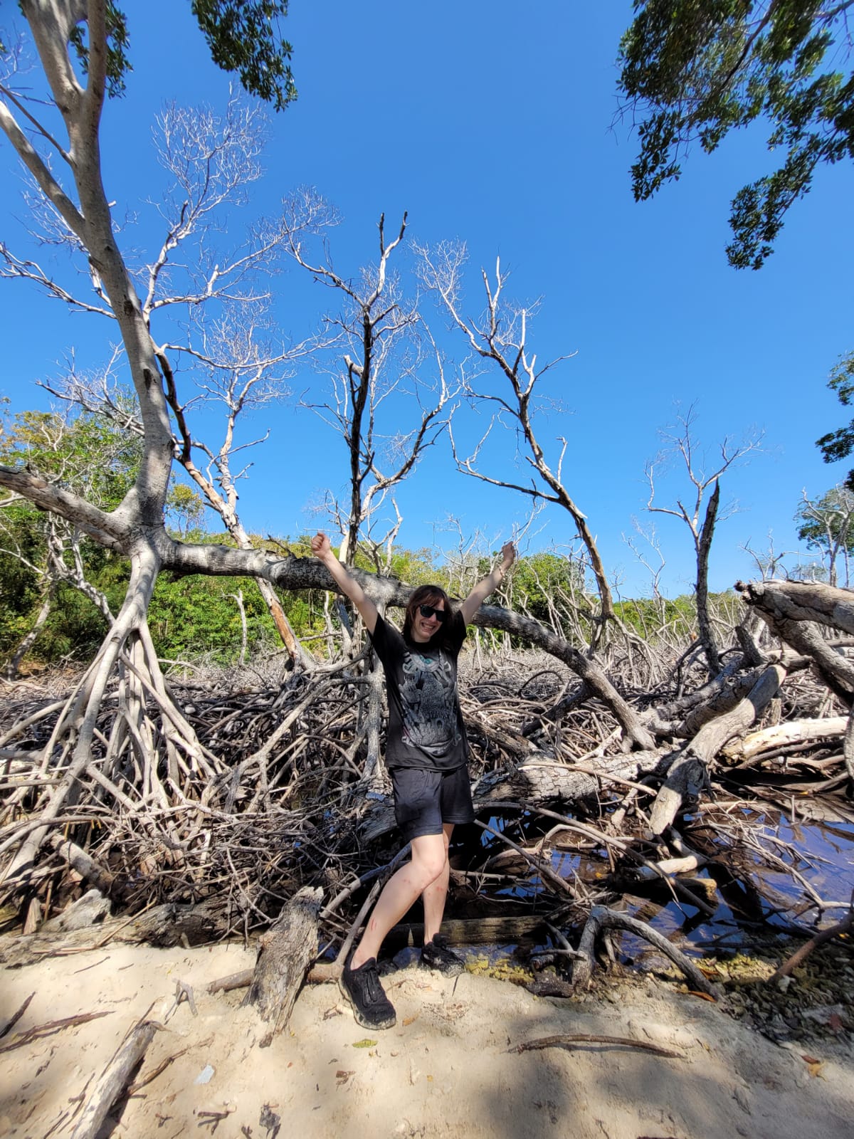 Mangrove Reforestation Tour