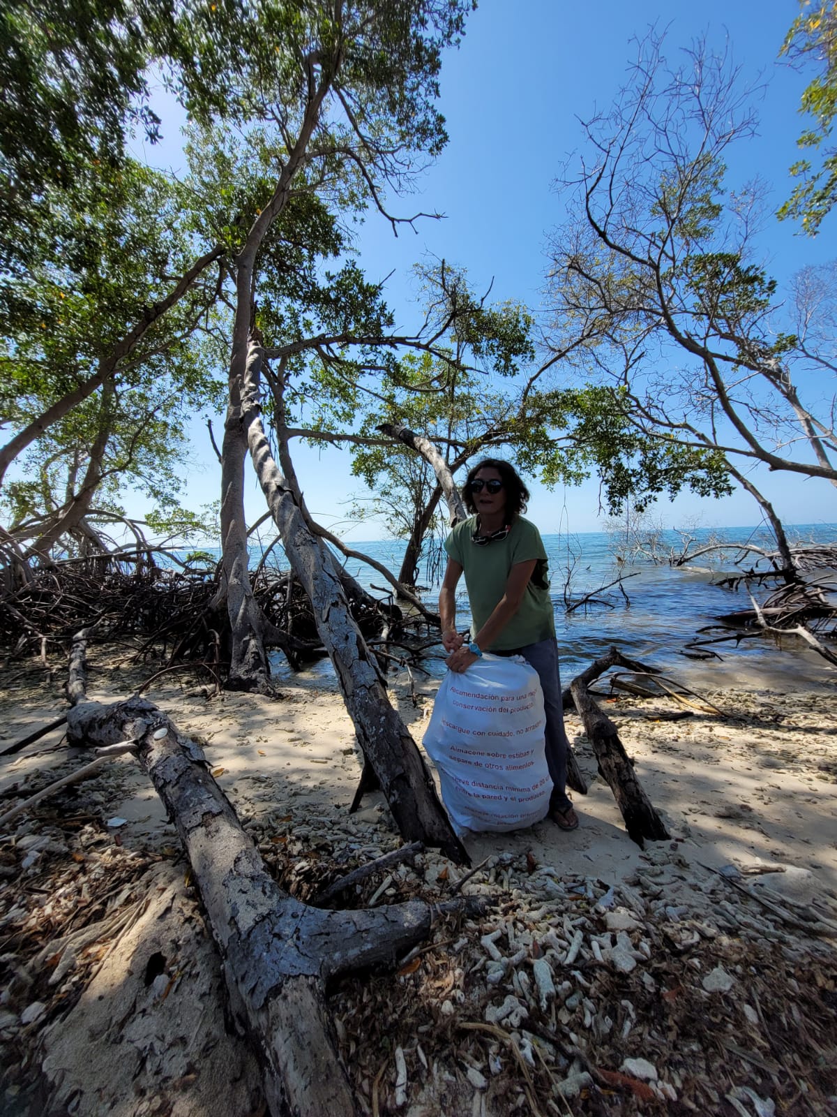 Mangrove Reforestation Tour