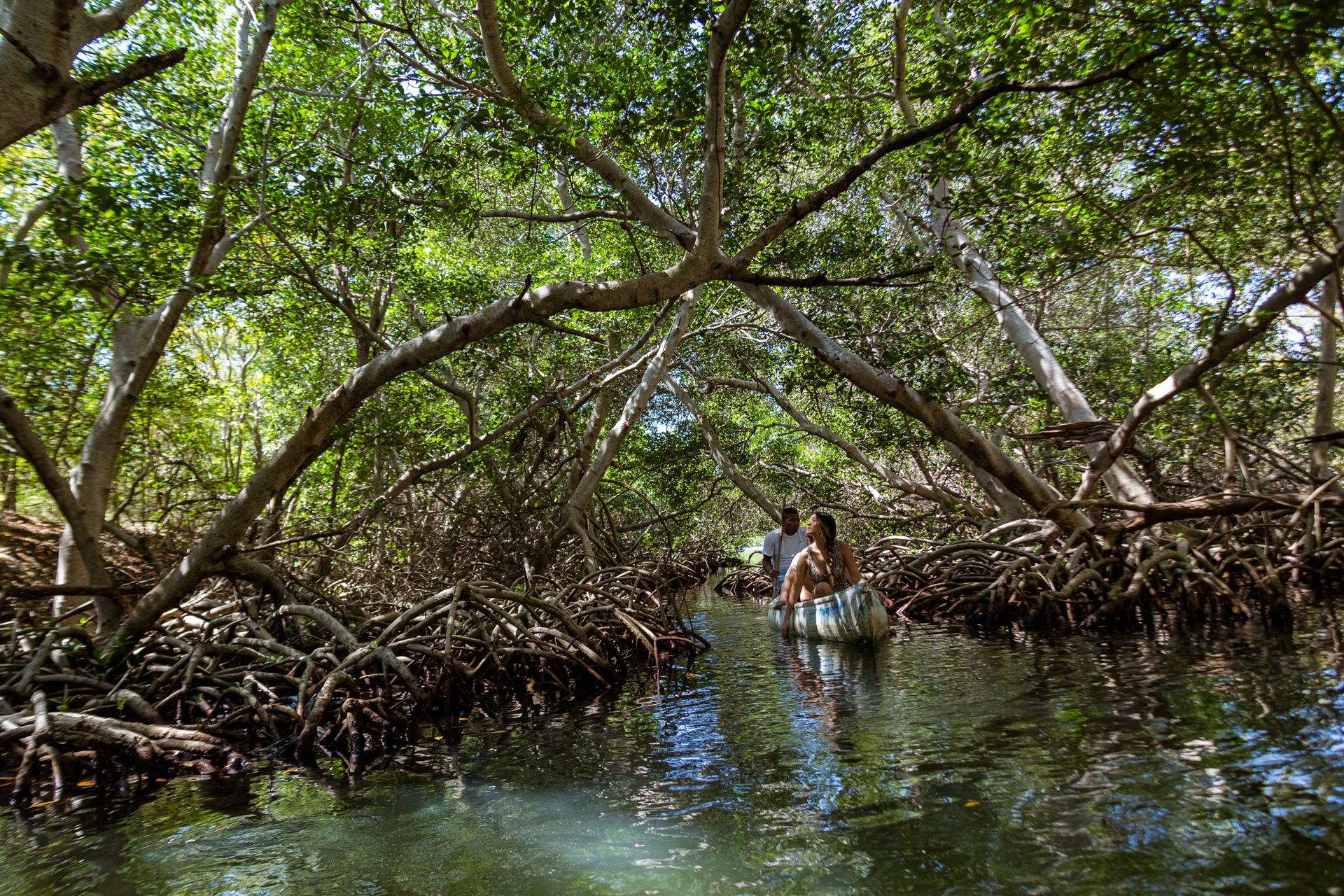 Mangrove Tunnel Canoe Tour
